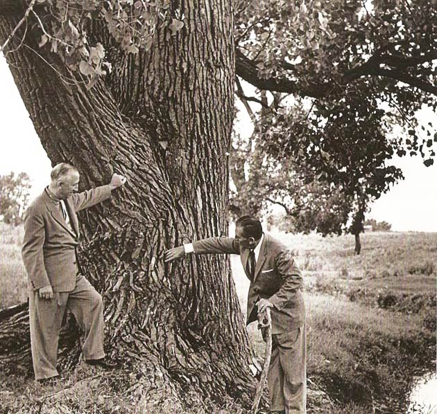 Walt Disney (right) visits his "Dreaming Tree" with his brother Roy at their old family farm in Marceline, Missouri.